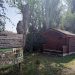 Muestra el nombre de la Reserva natural de Sebes en un rótulo de madera al lado de una cabaña